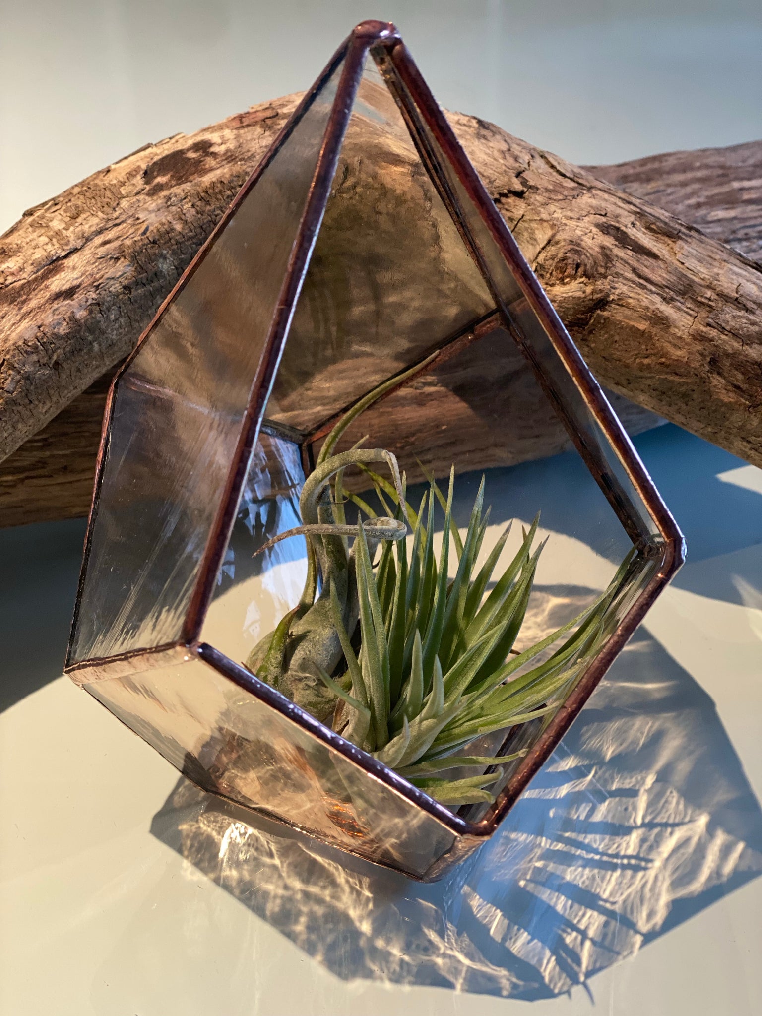 stained glass terrarium plants Stained Glass Terrarium – Kerryming Sun Design