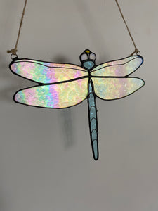 Iridescent Dragonfly